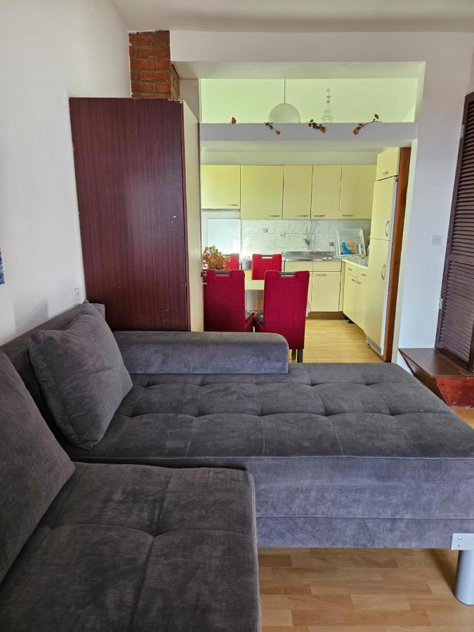 Apartments With Swimming Pool 9X4M Selce Exterior foto
